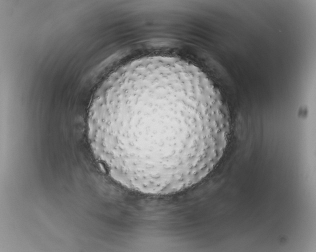 X0000113070821200909182022