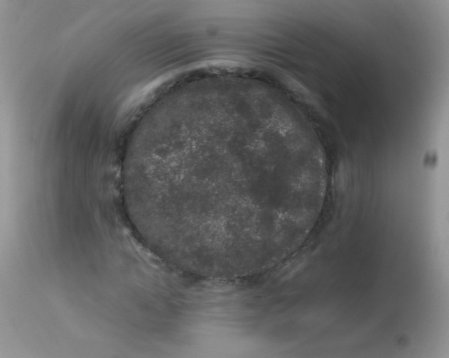 X0000113070822200909182022