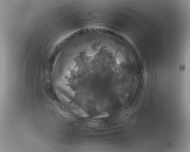 X0000113070823200909182022