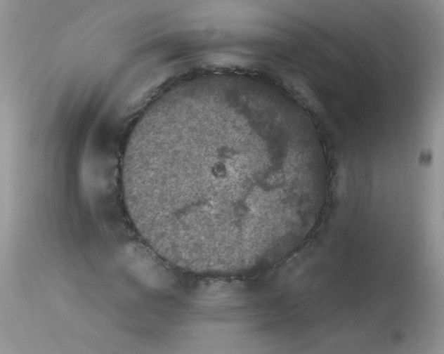 X0000113070824200909182022