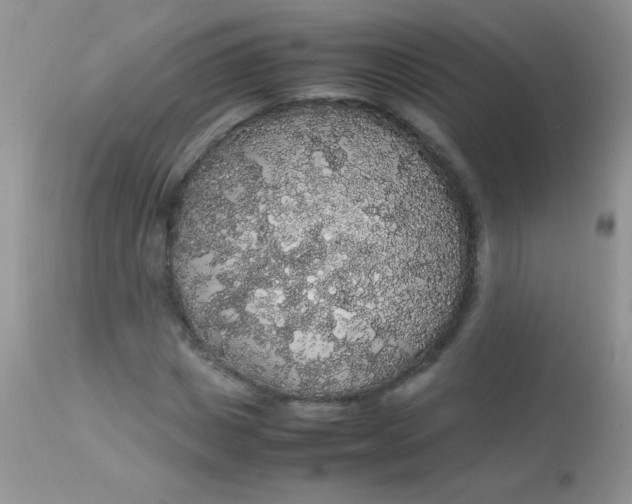 X0000113070825200909182022