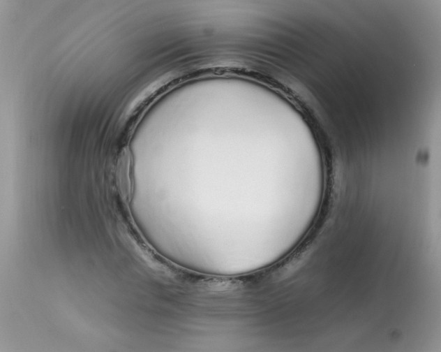 X0000113070826200909182022