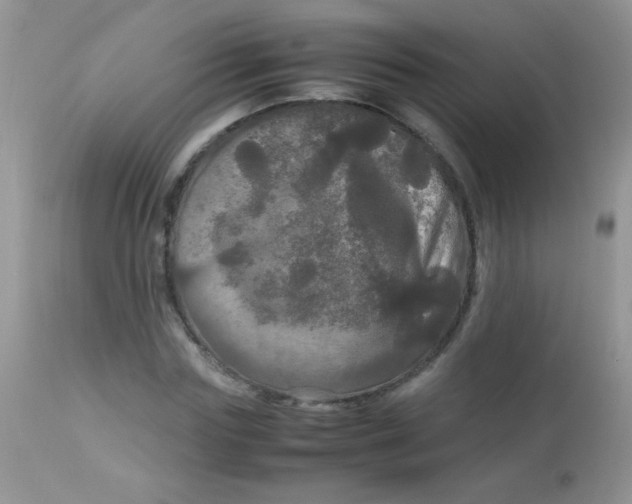 X0000113070827200909182022