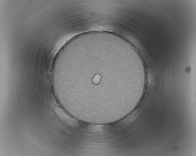 X0000113070828200909182022