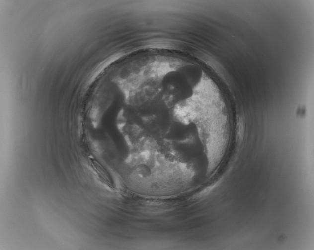 X0000113070829200909182022