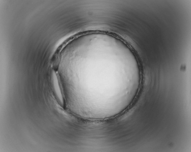 X0000113070830200909182022