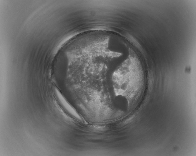 X0000113070831200909182022