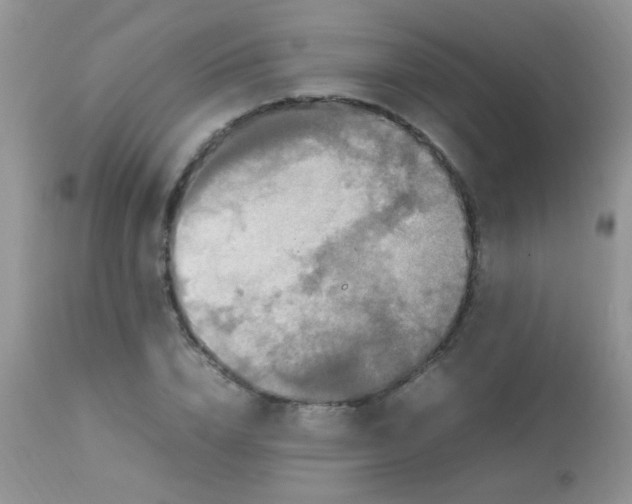 X0000113070832200909182022