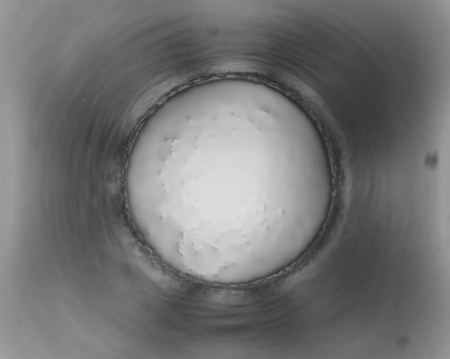 X0000113070833200909182022