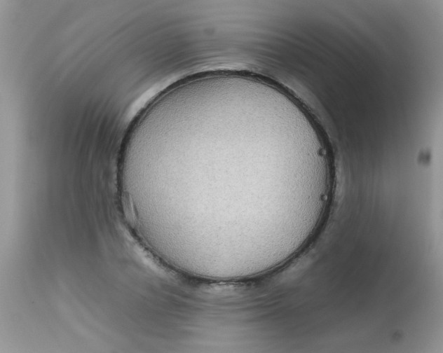 X0000113070834200909182022