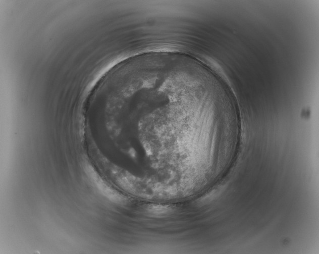 X0000113070835200909182022