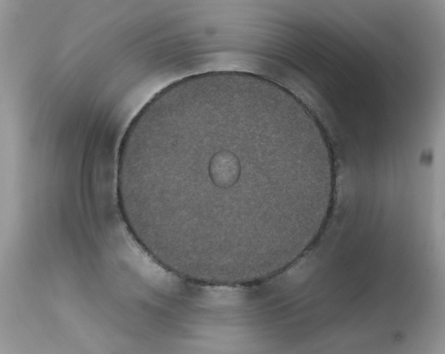 X0000113070836200909182023