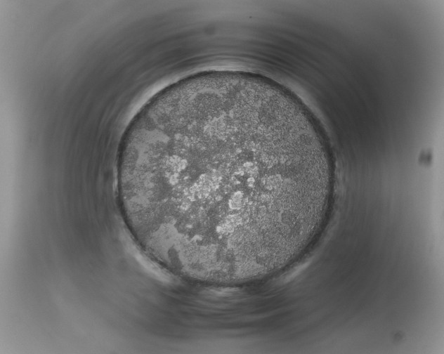 X0000113070837200909182023