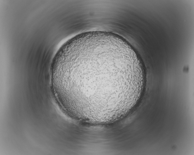 X0000113070838200909182023