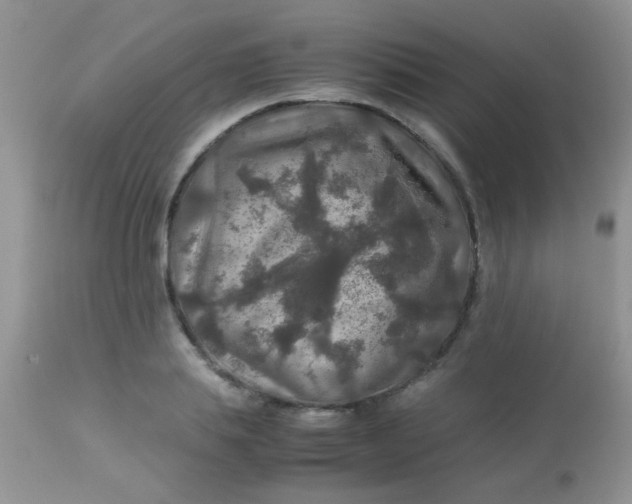 X0000113070839200909182023