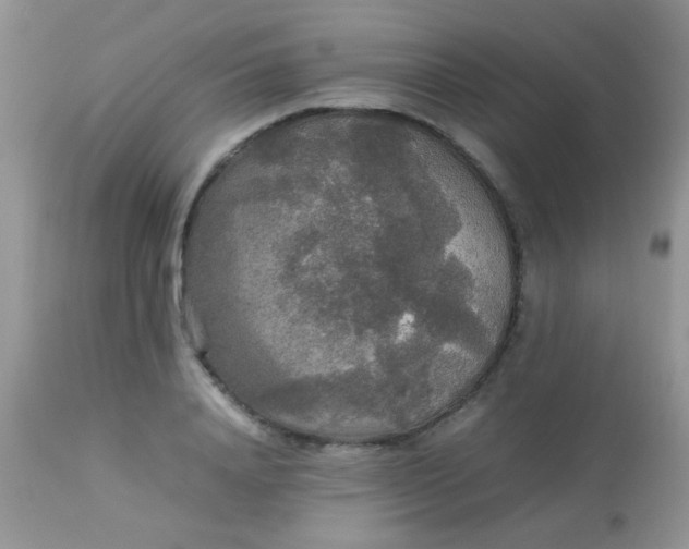 X0000113070840200909182023