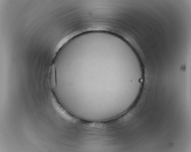 X0000113070842200909182023