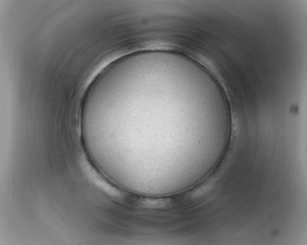 X0000113070843200909182023