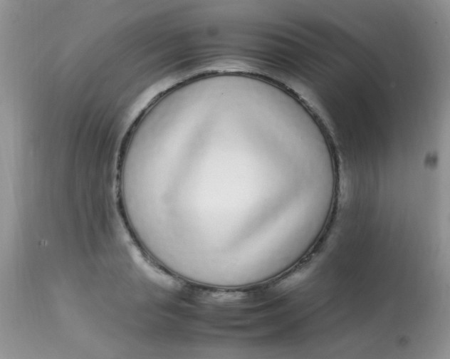 X0000113070845200909182023