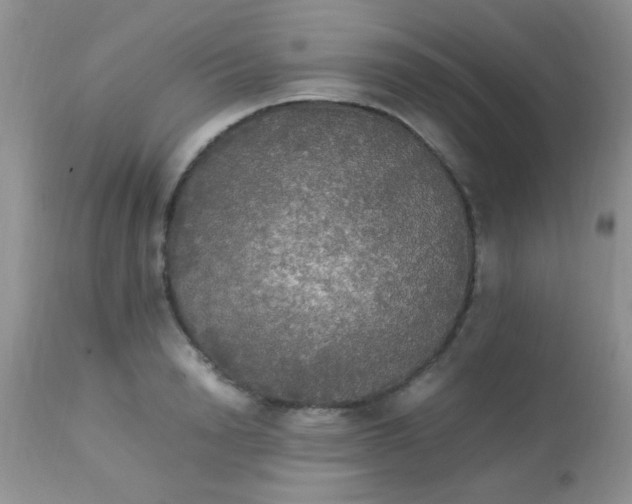 X0000113070846200909182023