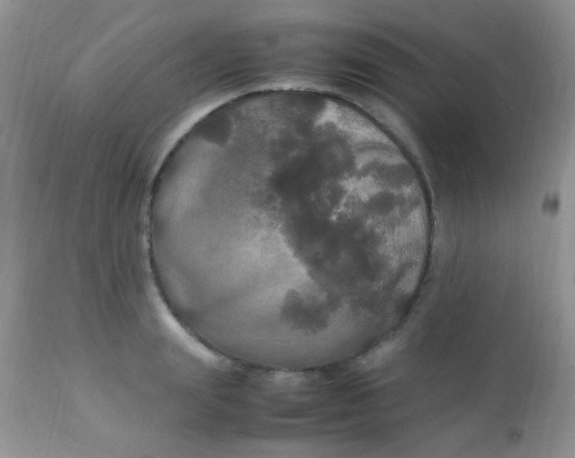 X0000113070847200909182023