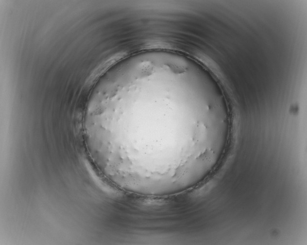 X0000113070849200909182023