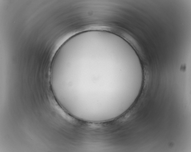 X0000113070852200909182023