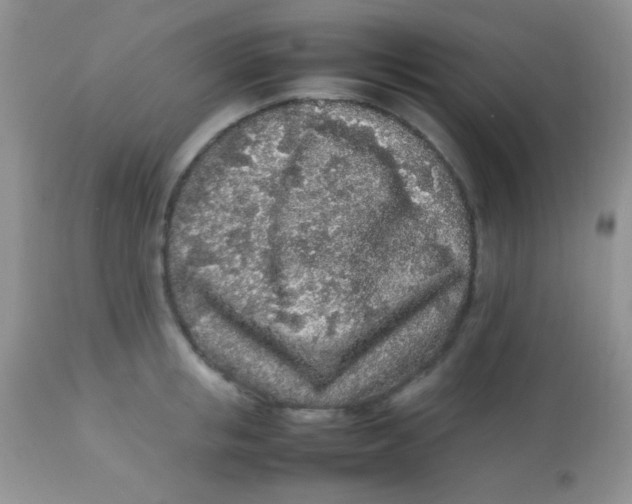 X0000113070853200909182023