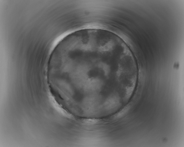 X0000113070854200909182023