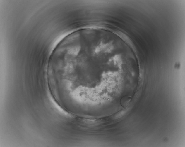 X0000113070855200909182023