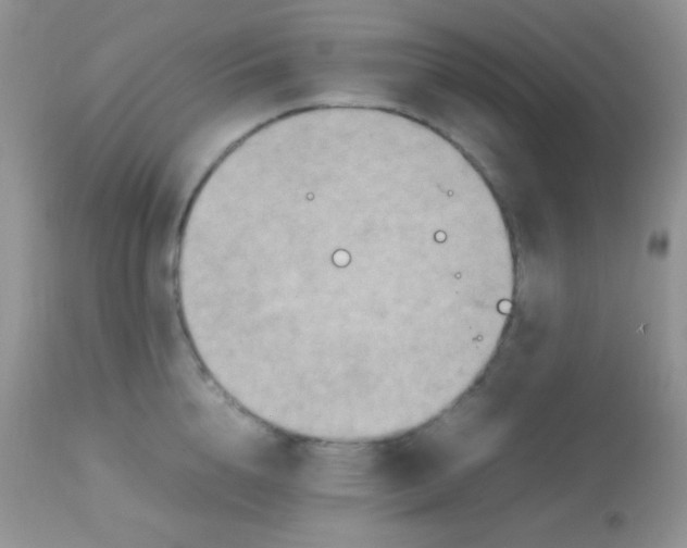 X0000113070856200909182023