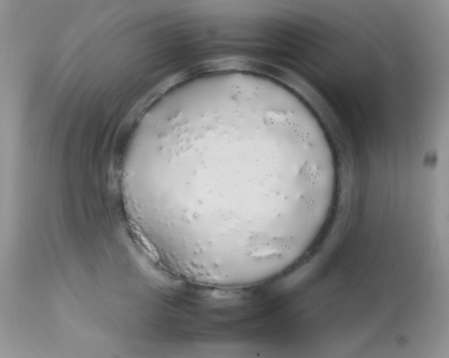 X0000113070857200909182023