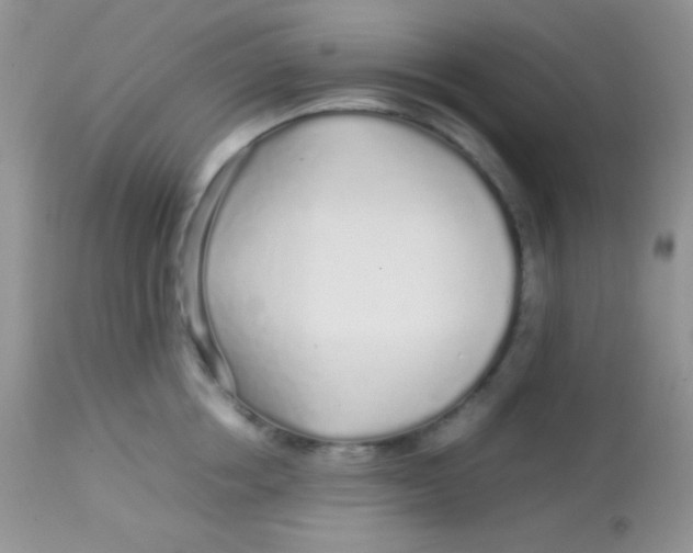 X0000113070858200909182023