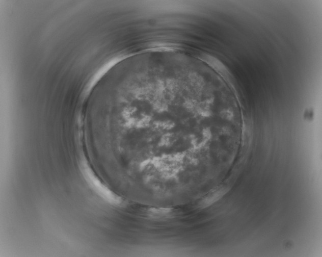 X0000113070859200909182023