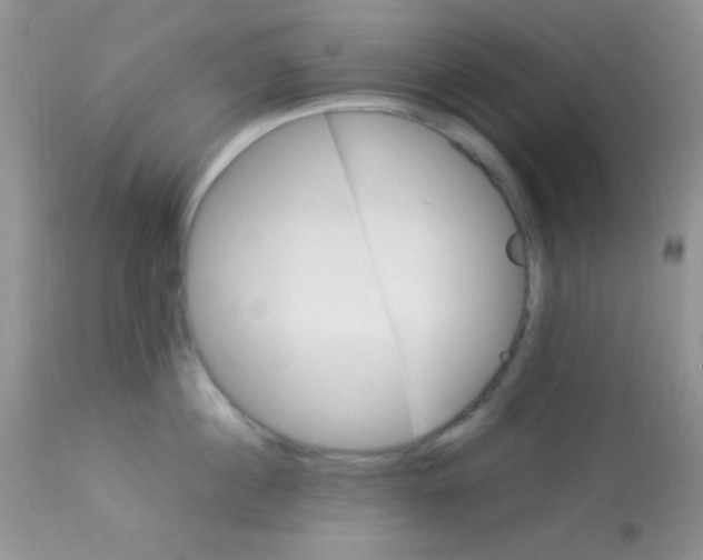 X0000113070860200909182023