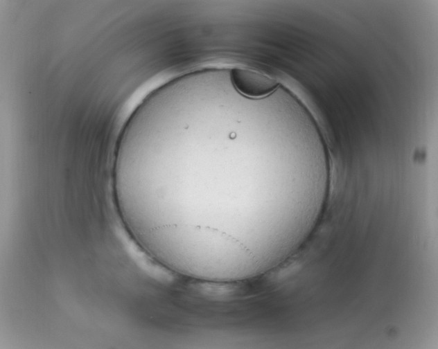 X0000113070861200909182023