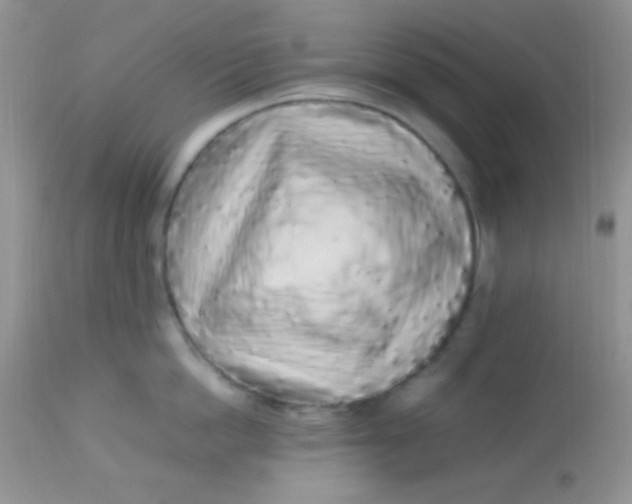 X0000113070862200909182023