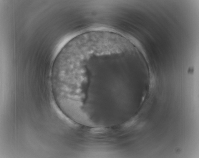 X0000113070863200909182023