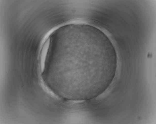 X0000113070864200909182023