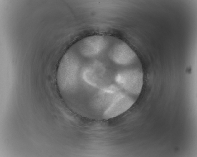 X0000113070865200909182022