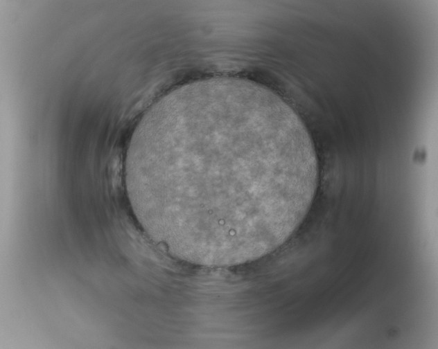 X0000113070866200909182022