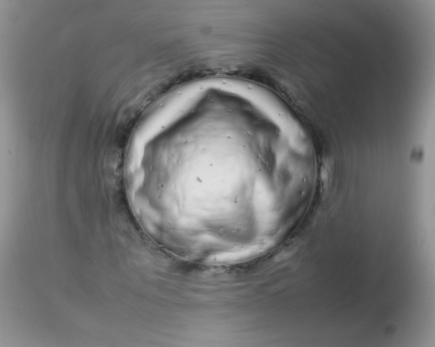 X0000113070867200909182022