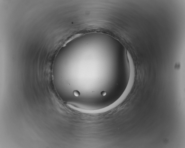 X0000113070868200909182022