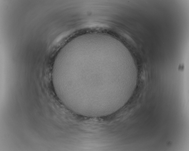 X0000113070869200909182022