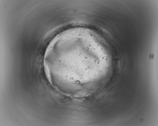 X0000113070870200909182022