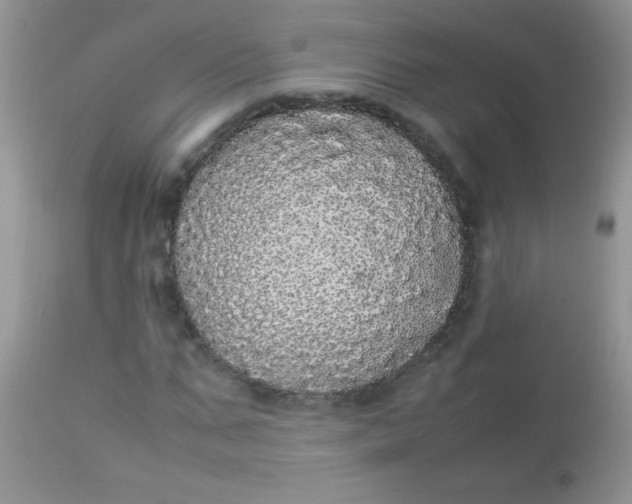 X0000113070871200909182022