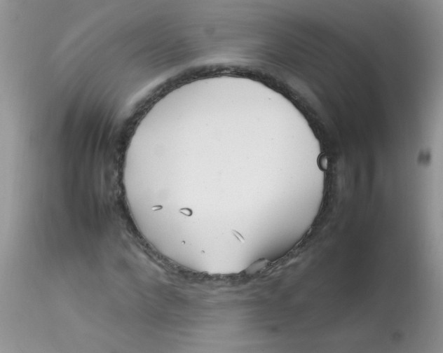 X0000113070872200909182022