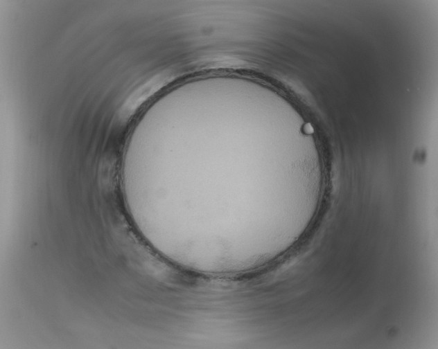 X0000113070873200909182022