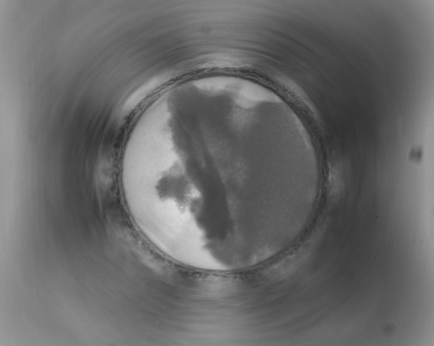 X0000113070874200909182022