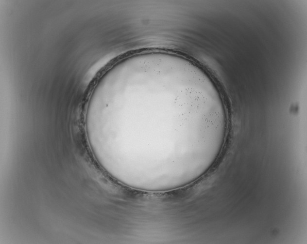 X0000113070875200909182022